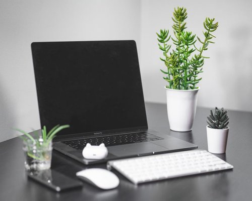 Suasana meja kantor dengan laptop dan tanaman kecil
